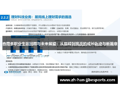 费南多职业生涯回顾与未来展望：从巅峰到挑战的成长轨迹与新篇章