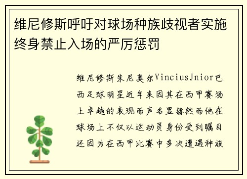 维尼修斯呼吁对球场种族歧视者实施终身禁止入场的严厉惩罚