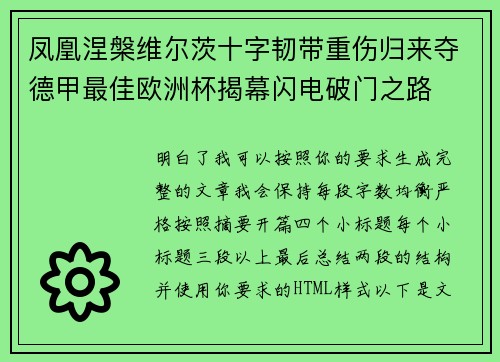 凤凰涅槃维尔茨十字韧带重伤归来夺德甲最佳欧洲杯揭幕闪电破门之路